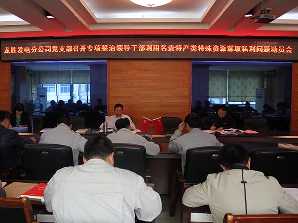 龍勝發(fā)電分公司召開集中整治領(lǐng)導(dǎo)干部利用名貴特產(chǎn)類特殊資源謀取私利問題工作會圖片.jpg